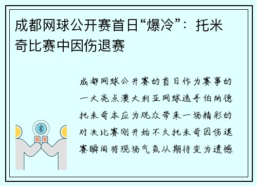 成都网球公开赛首日“爆冷”：托米奇比赛中因伤退赛