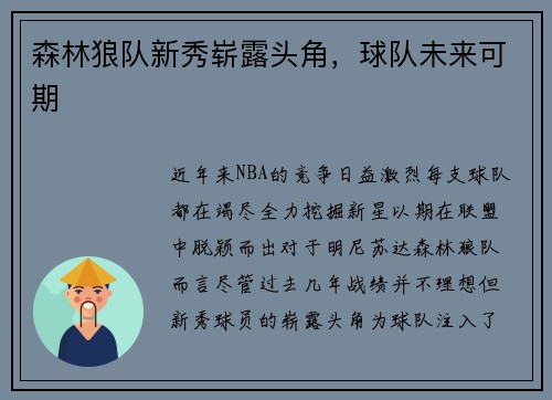 森林狼队新秀崭露头角，球队未来可期