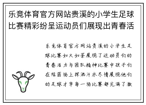 乐竞体育官方网站贵溪的小学生足球比赛精彩纷呈运动员们展现出青春活力与团队精神